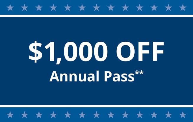127825_GOV_SpecialSavings_offertile_1000_Annual_655X413_(1)