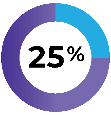 25% no AI strategy